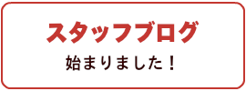 スタッフブログ