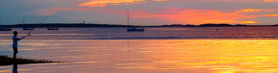 フィッシング・釣具の買取